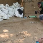 Зуб первісного бізона та кістки мамонтенят: що знайшли археологи в Мезинському парку на Новгород-Сіверщині