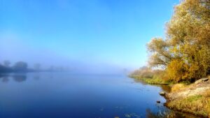 Віть: річка, яка відходить від Десни й повертається до неї